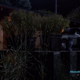 Image for article titled Bates Motel: “Meltdown”